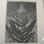 464 6496 ETCHING